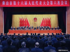 扶植粤港澳大湾区（佛山）科开办事生态先行区